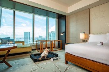 Conrad Tokyo launches dog-friendly accommodation plan, ‘Paws of Luxury’