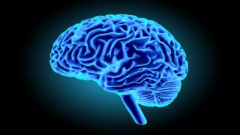 Researchers boost human mental function with brain stimulation