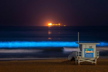 Blue, neon waves lighting up the night at South Bay beaches
