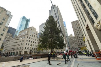 NYC Rockefeller Center Christmas tree lighting is Wednesday: Here’s how to watch