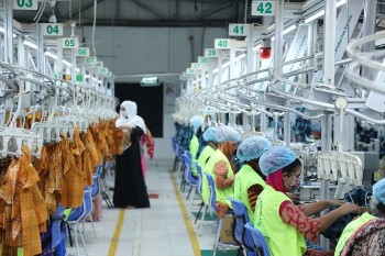 Redefining the roles of apparel sector and policy makers