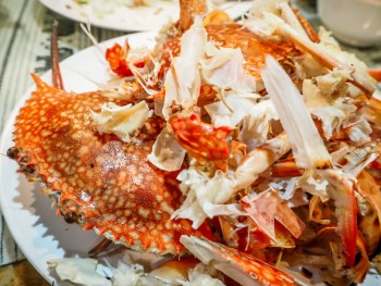Finding New Uses for Crab Shells in Agriculture