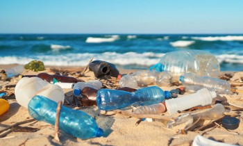 Who is responsible for plastic waste?