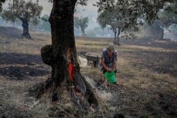 Wildfires blaze across sweltering southwest Europe