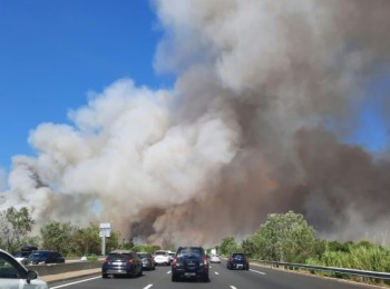 Portugal, France battle big forest fires as mercury soars