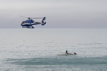 5 dead after New Zealand boat flips in possible whale strike