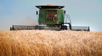All Wheat Acres Planted in the Northwest Down 1 Percent from 2022