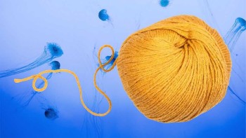 Exploring the World of Filament Yarn: Trends, Suppliers, Manufacturers, and Market Insights