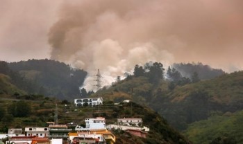 Mass evacuations as Tenerife wildfire rages out of control