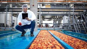 Navigating the Future of Food Processing with Cutting-Edge Equipment and Tools