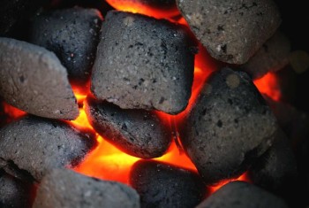 NTPC coal output rises 65 pc to 23 million tonnes