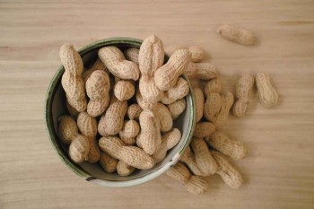 Peanut allergies could plummet if babies introduced to allergens early