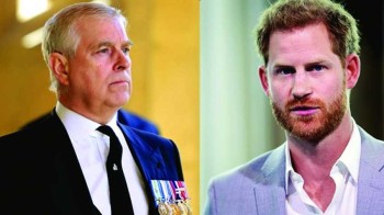 UK princes Harry and Andrew lose king stand-in role