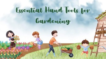 The Ultimate Guide to Gardening Tools - Types and How to Use Them